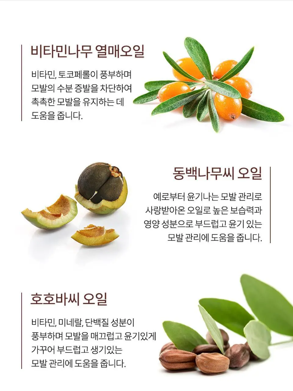 [NEW/퍼퓸오일] 라입 R3 아르간 헤어 오일 100ml 5종 상세페이지 32